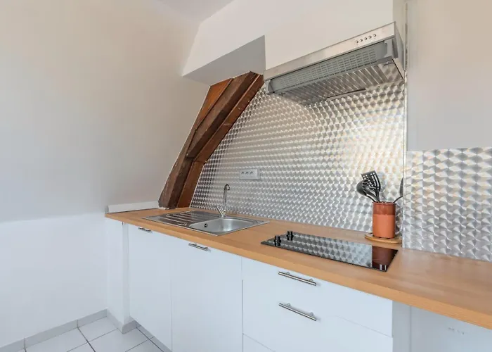 Duplex Next To Grand Place *