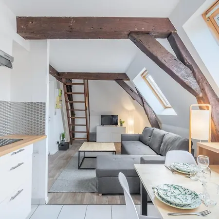 Duplex Next To Grand Place Lille